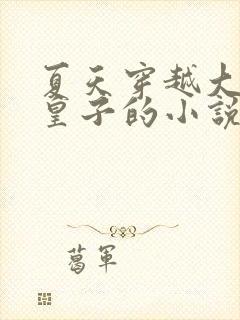 夏天穿越大夏九皇子的小说笔趣阁