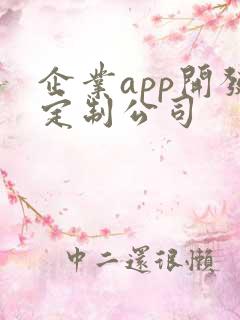 企业app开发定制公司