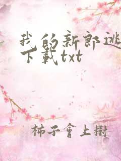 我的新郎逃婚了下载txt