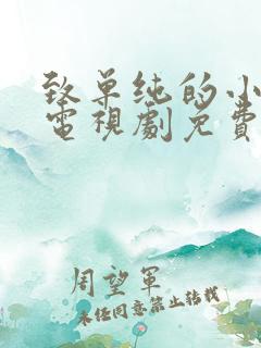 致单纯的小美好电视剧免费观看