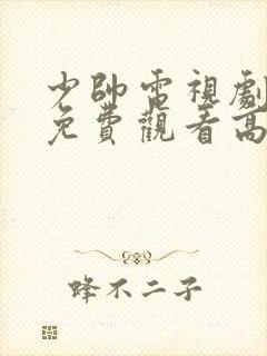 少帅电视剧全集免费观看高清