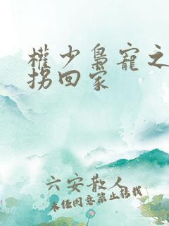 权少枭宠之萌妻拐回家