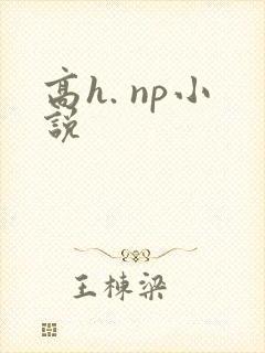 高h. np小说