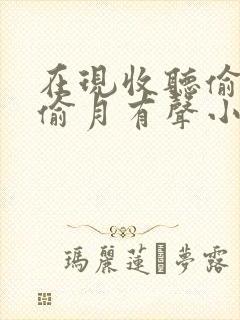 在现收听偷风不偷月有声小说