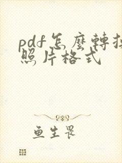 pdf怎么转换照片格式