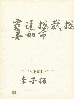 霸道总裁总裁宠妻如命