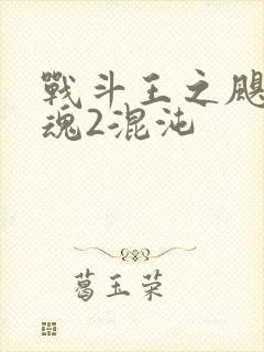 战斗王之飓风战魂2混沌