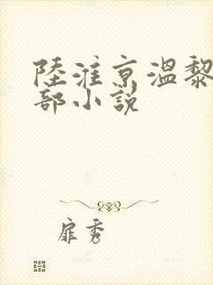 陆淮京温黎是哪部小说