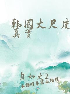 韩国大尺度电影真实