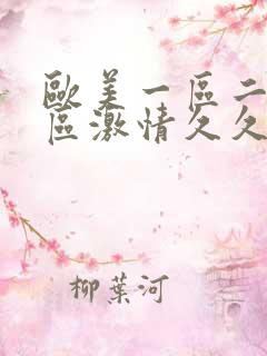 欧美一区二区三区激情久久