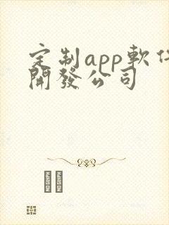 定制app软件开发公司