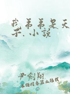 我弟弟是天选之子. 小说