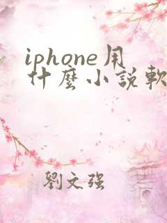 iphone用什么小说软件