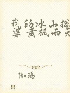 我的冰山总裁老婆 黄枫雨天