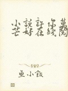 小说许你万丈光芒好在线阅读