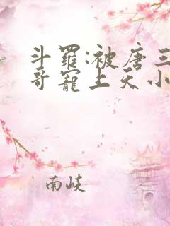 斗罗:被唐三哥哥宠上天小说