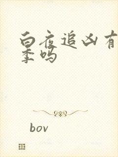 白夜追凶有第三季吗