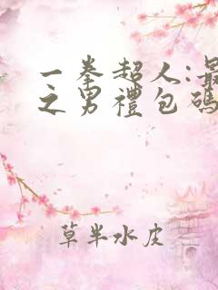 一拳超人:最强之男礼包码