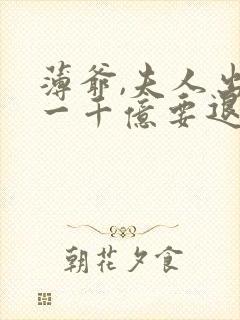 薄爷,夫人出价一千亿要退婚叶凝完整版