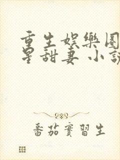 重生娱乐圈之巨星甜妻 小说