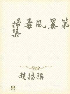 扫毒风暴第三十集