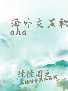 海外交友软件waha