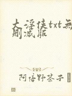 大淫侠txt无删减版