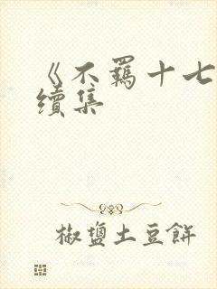 《不羁十七岁》续集