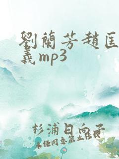刘兰芳赵匡胤演义mp3