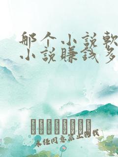 那个小说软件写小说赚钱多