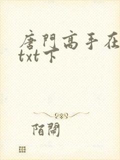唐门高手在异世txt下