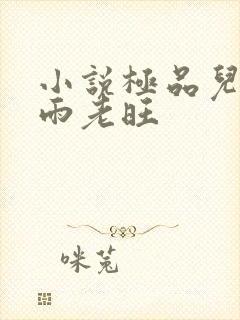 小说极品儿媳秦雨老旺