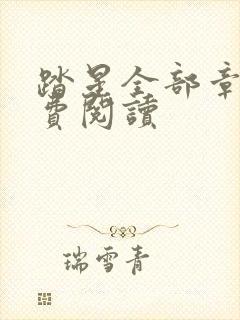 踏星全部章节免费阅读