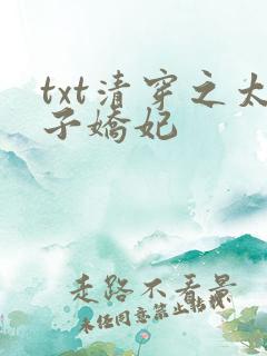 txt清穿之太子娇妃