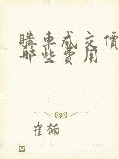 购车成交价包括哪些费用