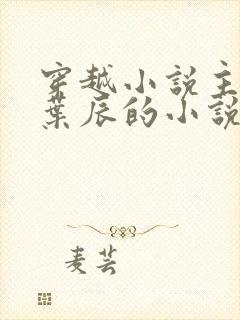 穿越小说主角叫叶辰的小说