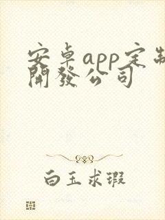 安卓app定制开发公司