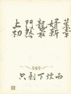 上门龙婿叶辰萧初然最新章节全文免费阅读