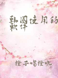 韩国使用的聊天软件