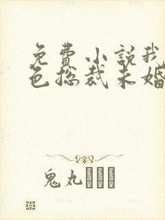 免费小说我的绝色总裁未婚妻