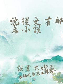 沈从文有哪些长篇小说