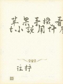 苹果手机看txt小说用什么软件