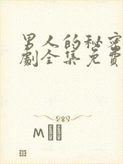 男人的秘密电视剧全集免费观看