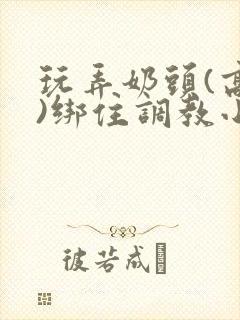 玩弄奶头(高h)绑住调教小说