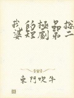 我的极品总裁老婆短剧第二集在线观看