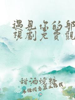 遇见你的那天电视剧免费观看全集完整版