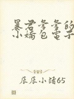 暴君爹爹的团宠小娇包电子版