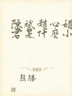 陈斌赵心媚高婉君是什么小说