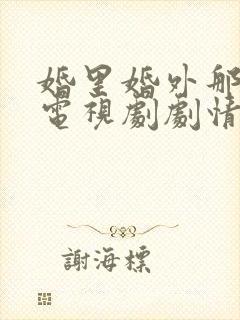 婚里婚外那些事电视剧剧情介绍