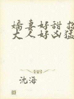 娇妻好甜 总裁大人好凶猛